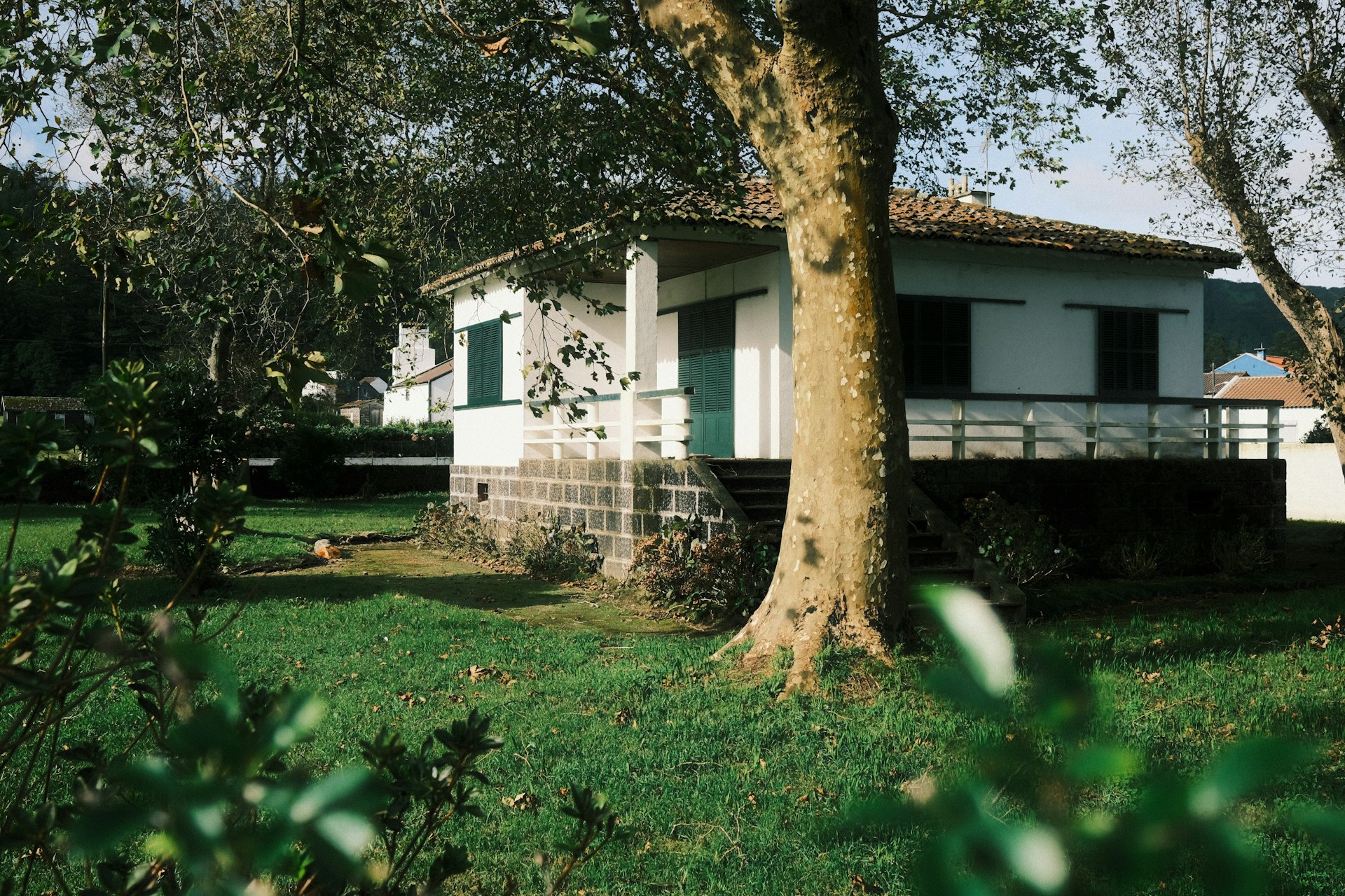 Image représentant l'activité suivante : Entreprise d'abattage d'arbres