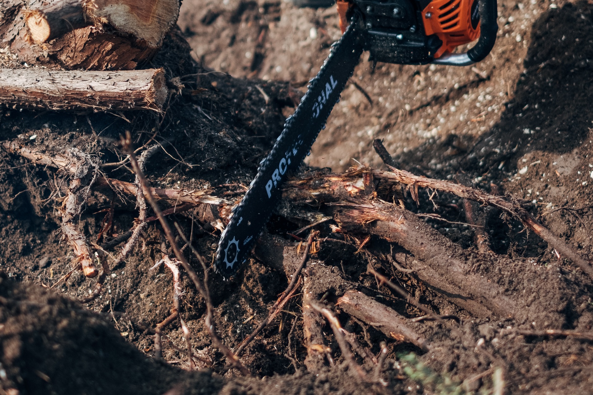 Image représentant l'activité suivante : Entreprise de dessouchage d'arbres et de haies