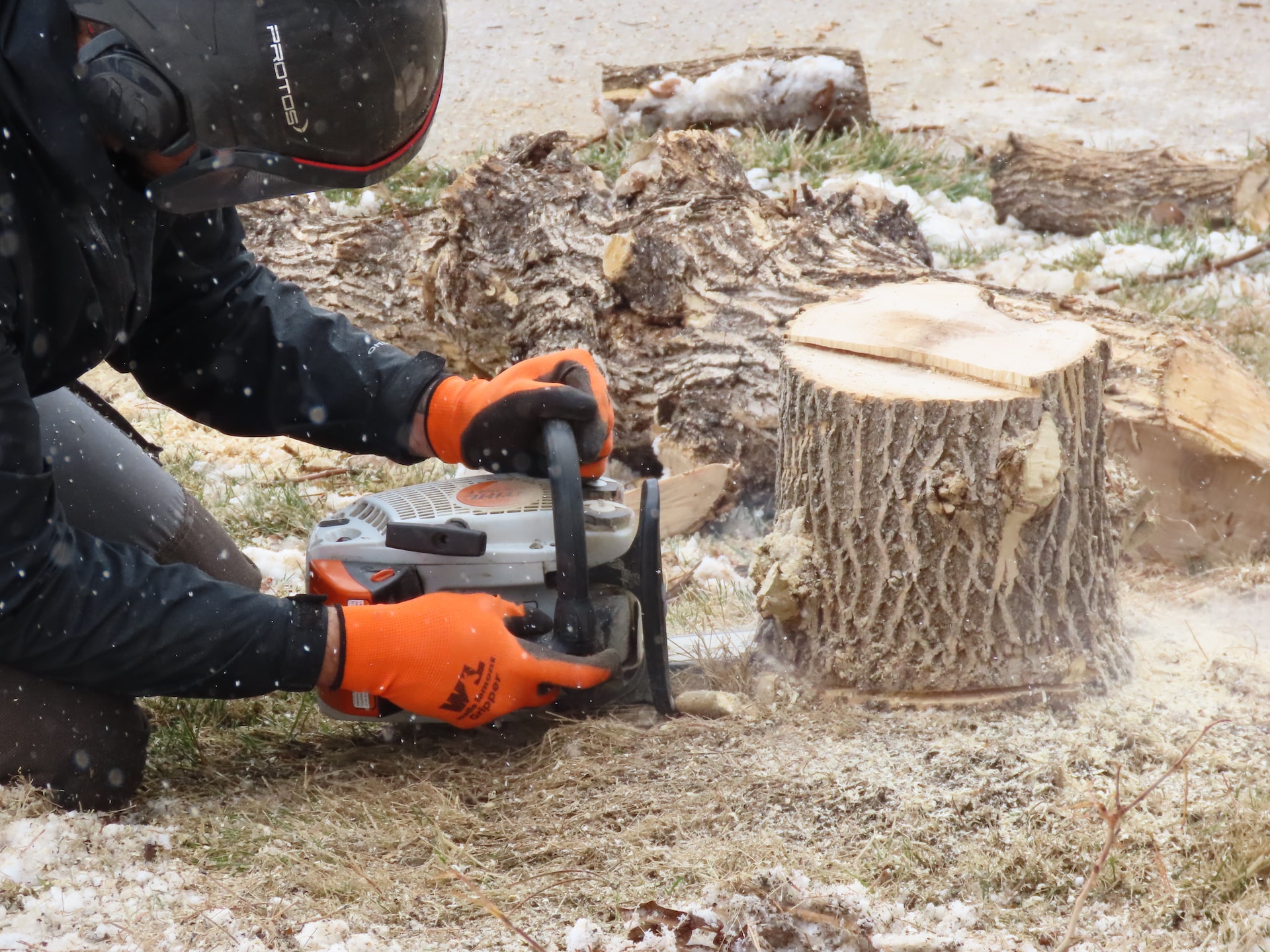 Image représentant l'activité suivante : Entreprise de dessouchage d'arbres et de haies