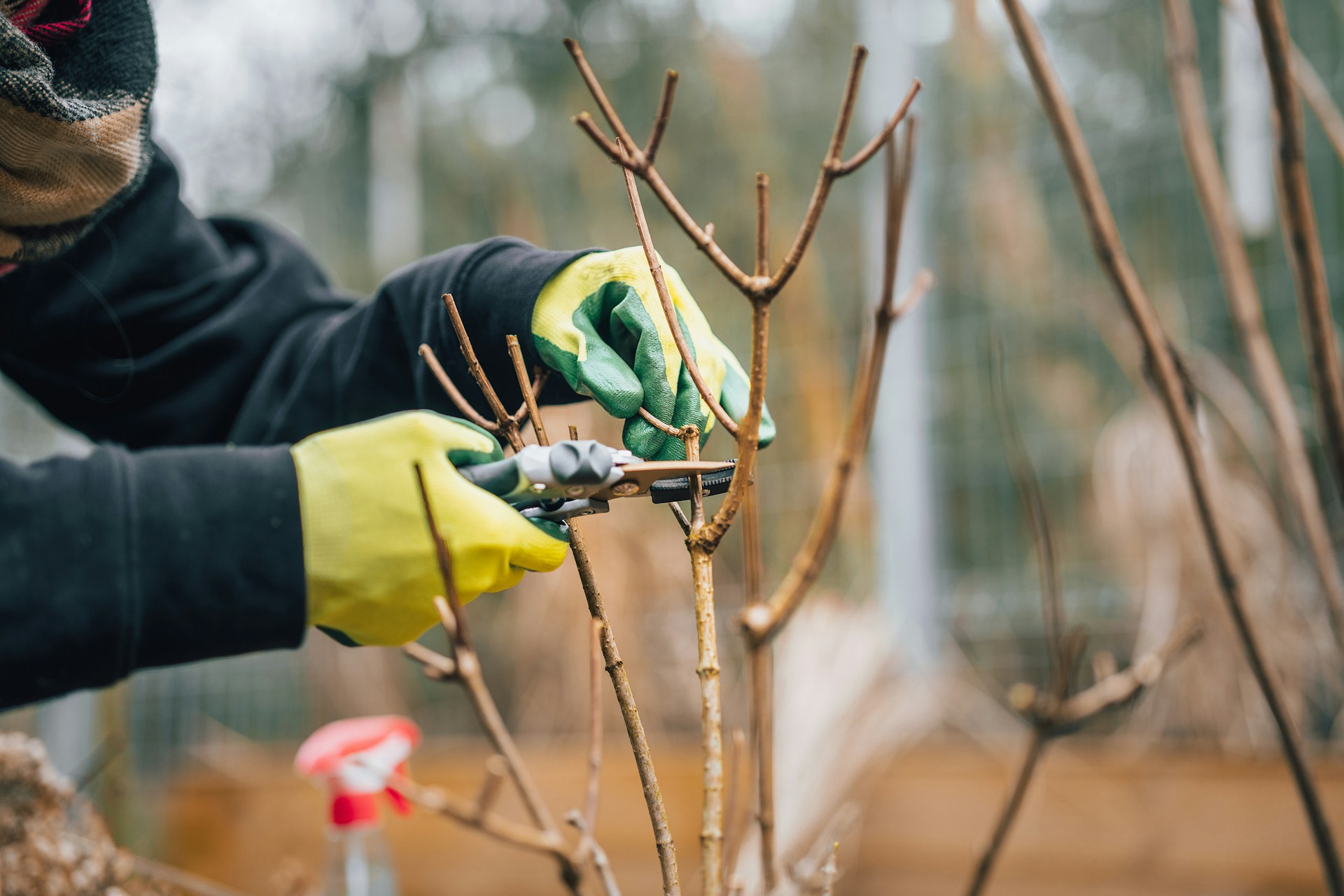 Image représentant l'activité suivante : Artisan jardinier